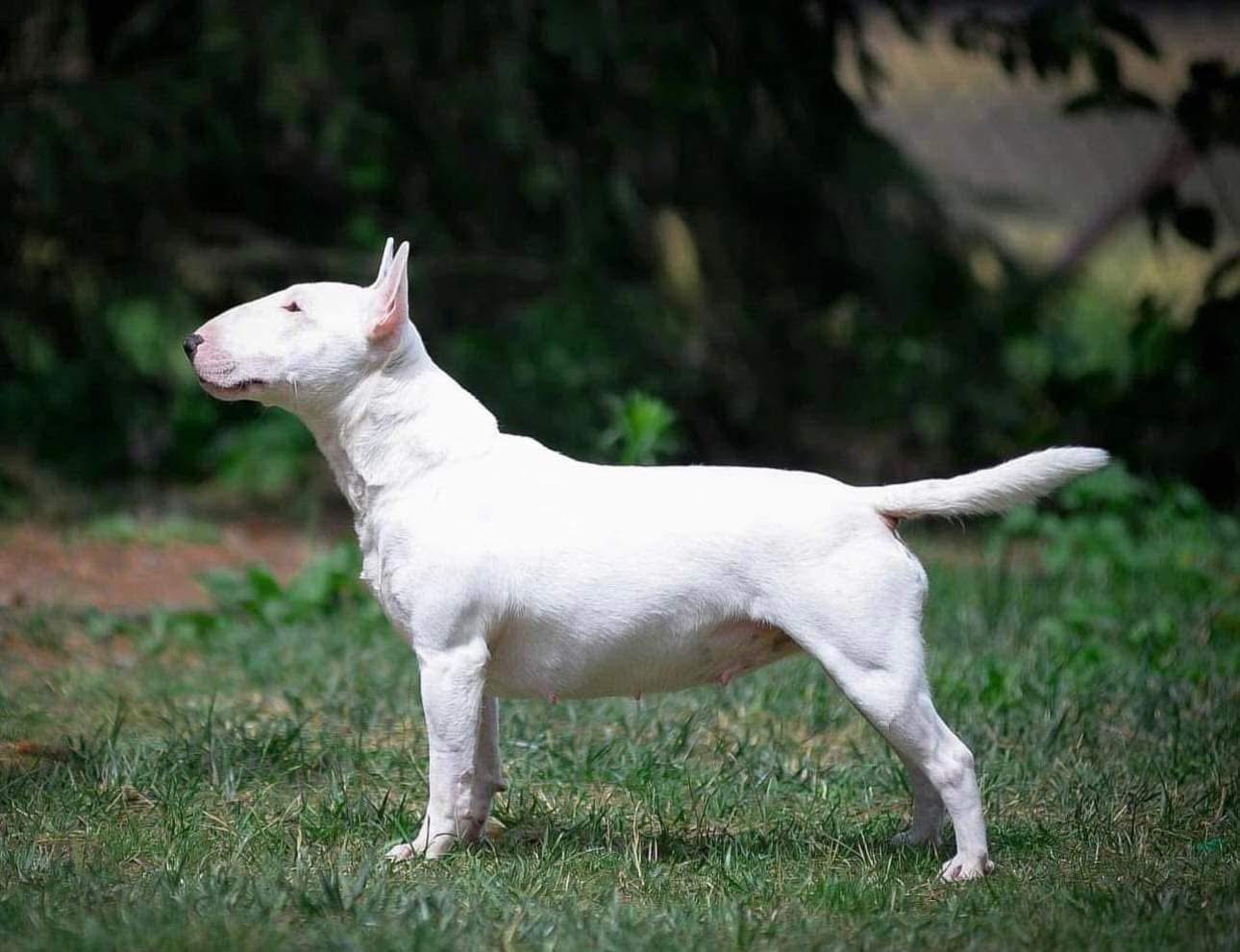 Venturesome — наша історія