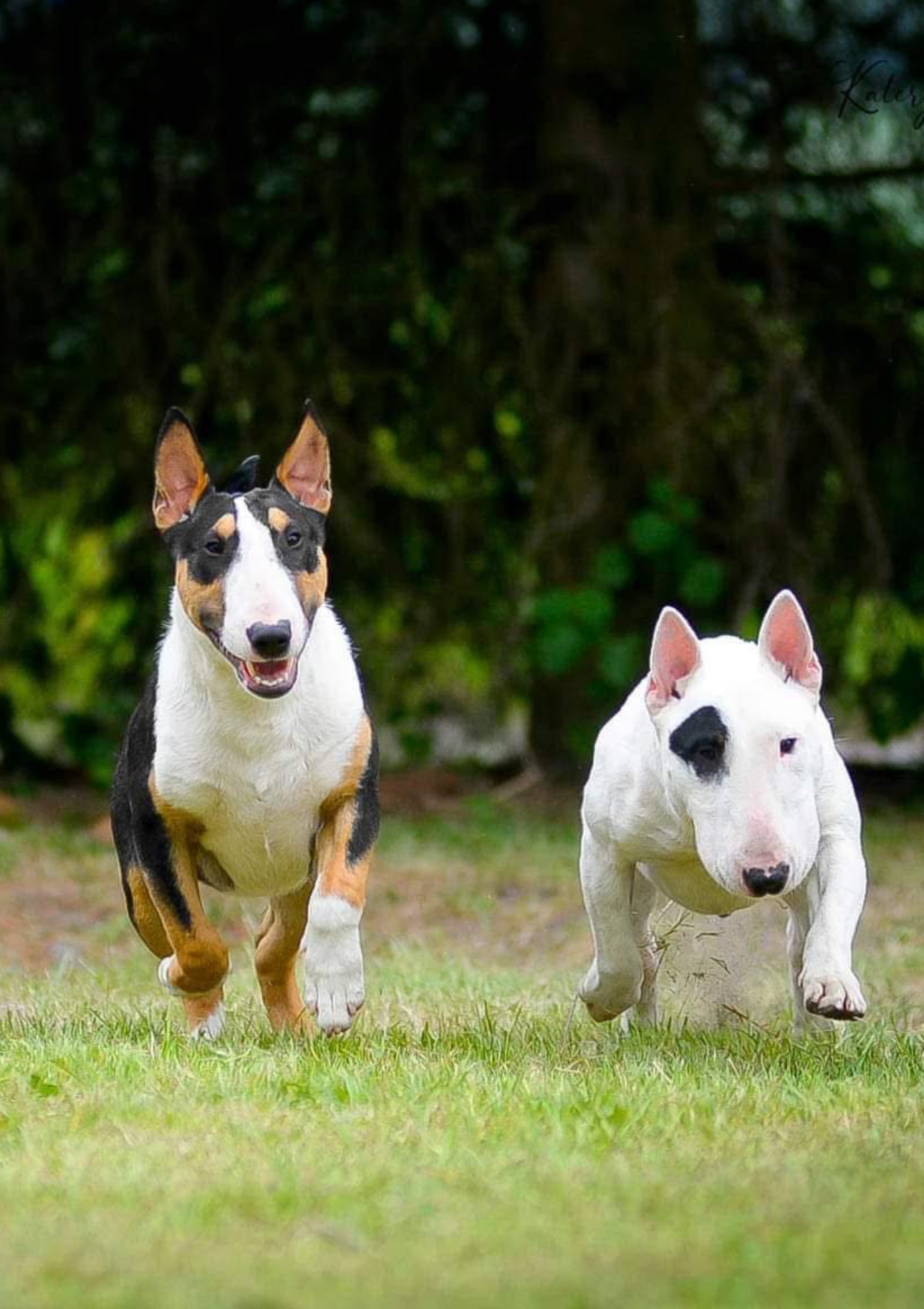 Venturesome — фото 1