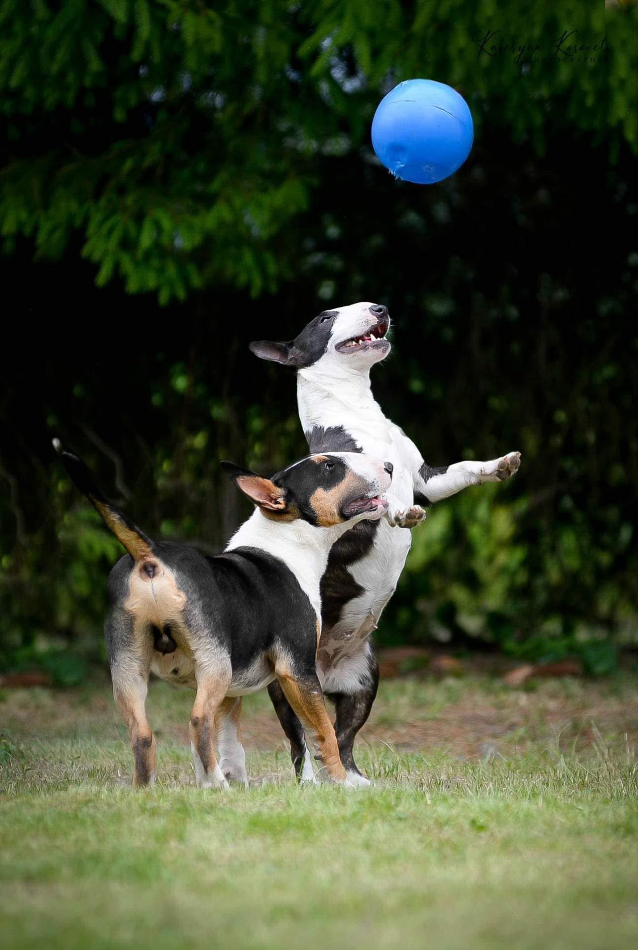 Venturesome — фото 2