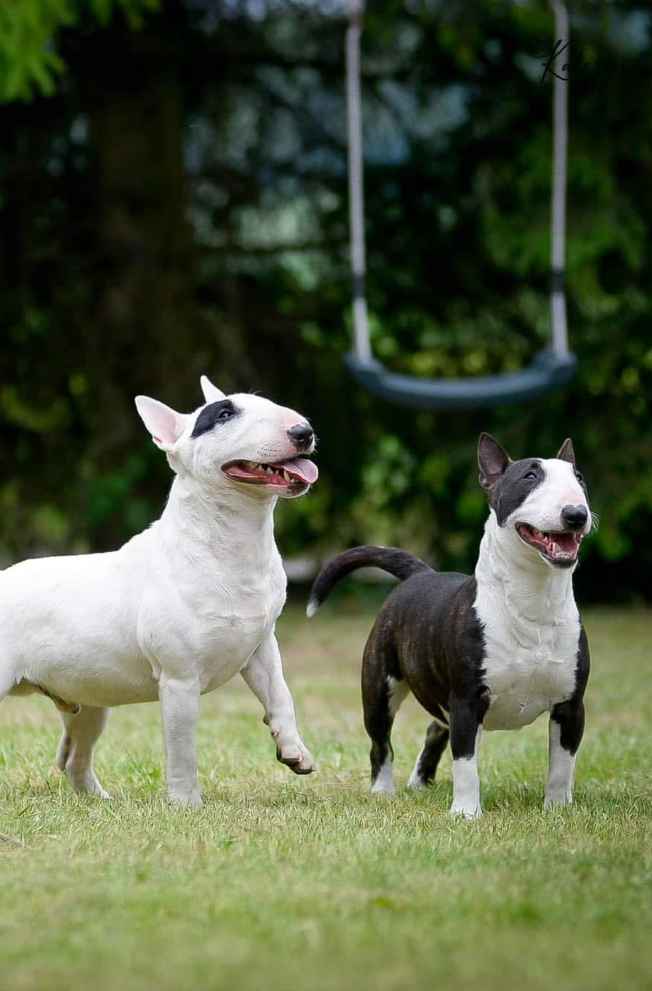 Venturesome — фото 3