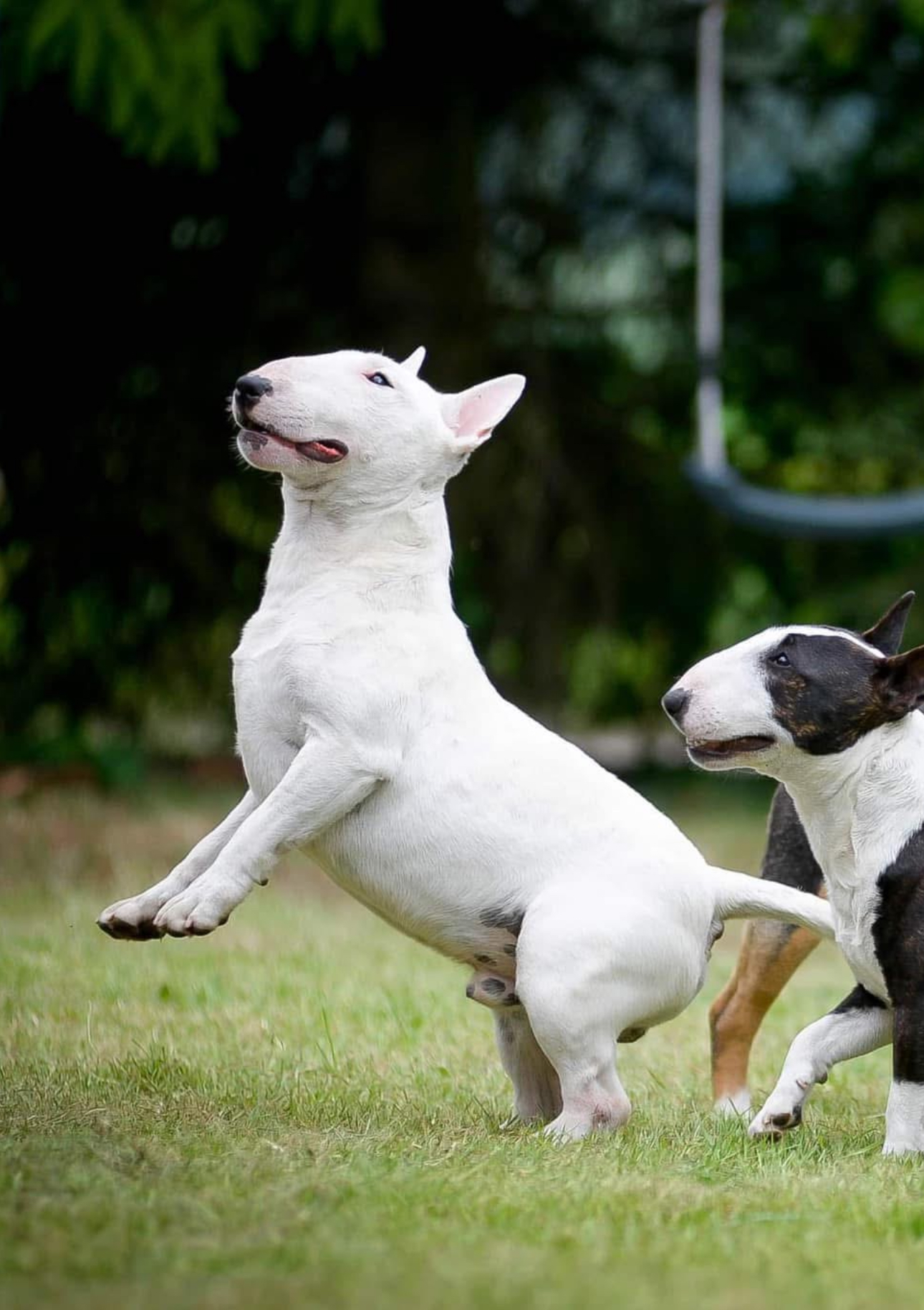 Venturesome — фото 4