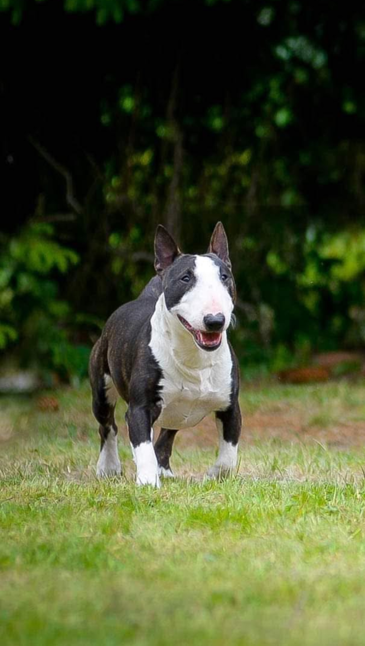 Venturesome — фото 5