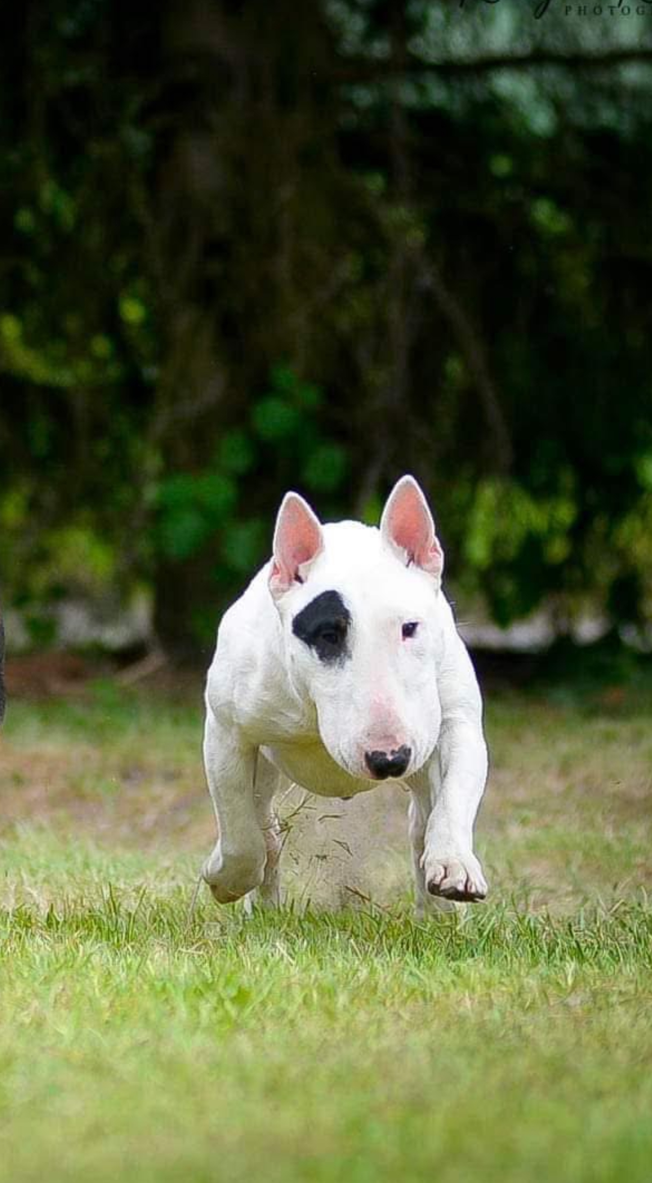 Venturesome — фото 6