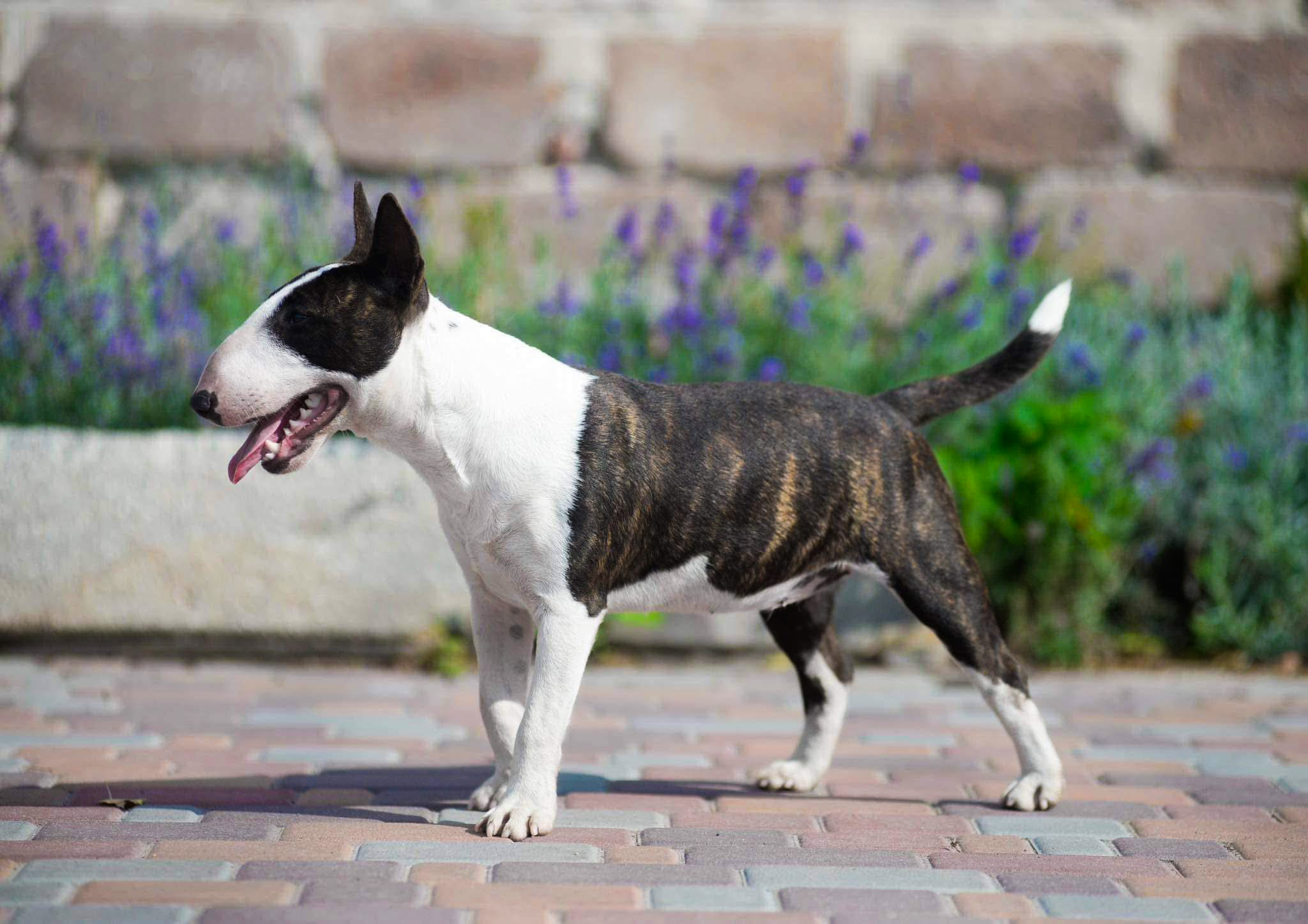 WELCOME TO UKRAINE VENTURESOME