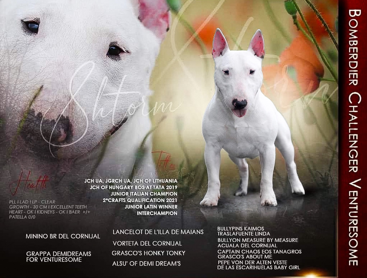 BOMBARDIER CHALLENGER VENTURESOME