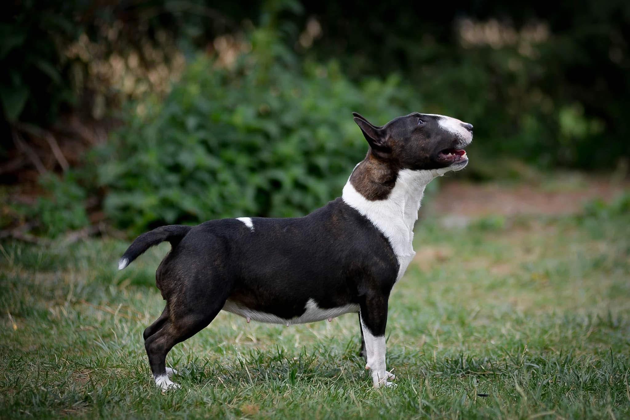 MARY POPPINS VENTURESOME