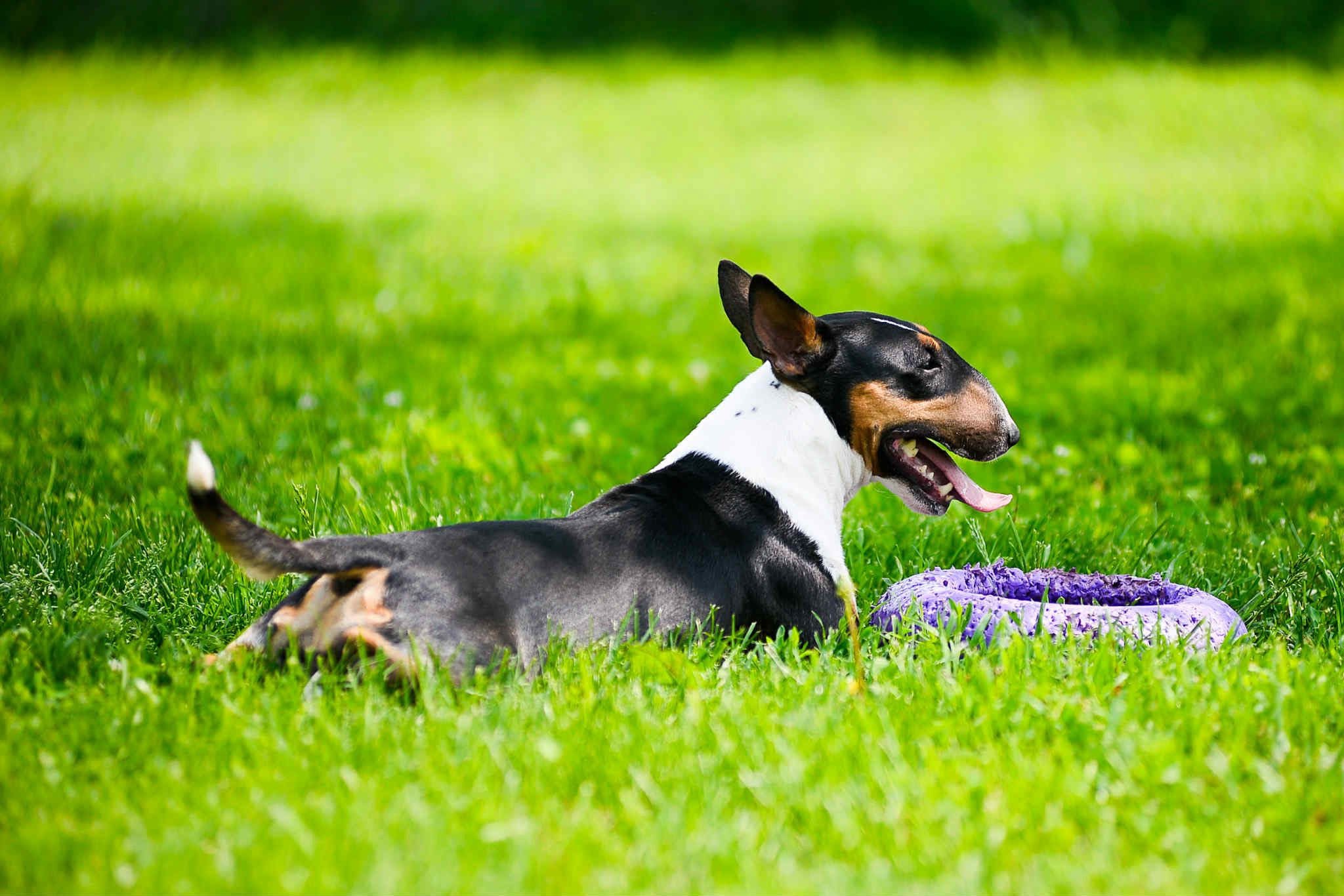 GENTLE BREEZE REWARD STYLE