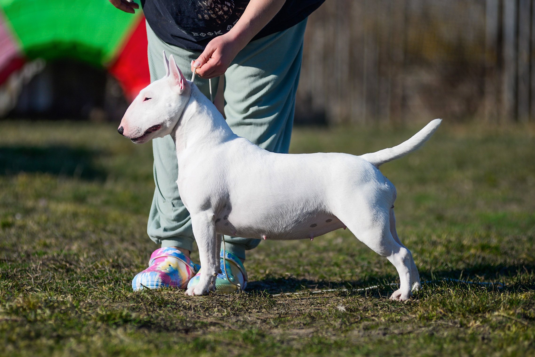 FREEDOM OF SPEECH VENTURESOME