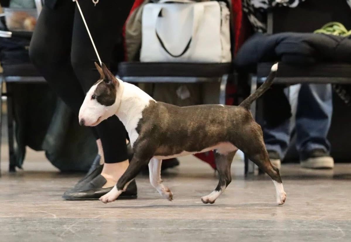 MISS BETTY VENTURESOME