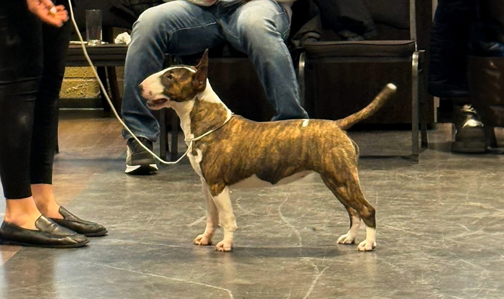 UA VYSHYVANKA VENTURESOME