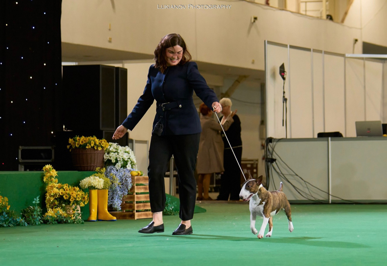 CACIB "Ukraine" 2026