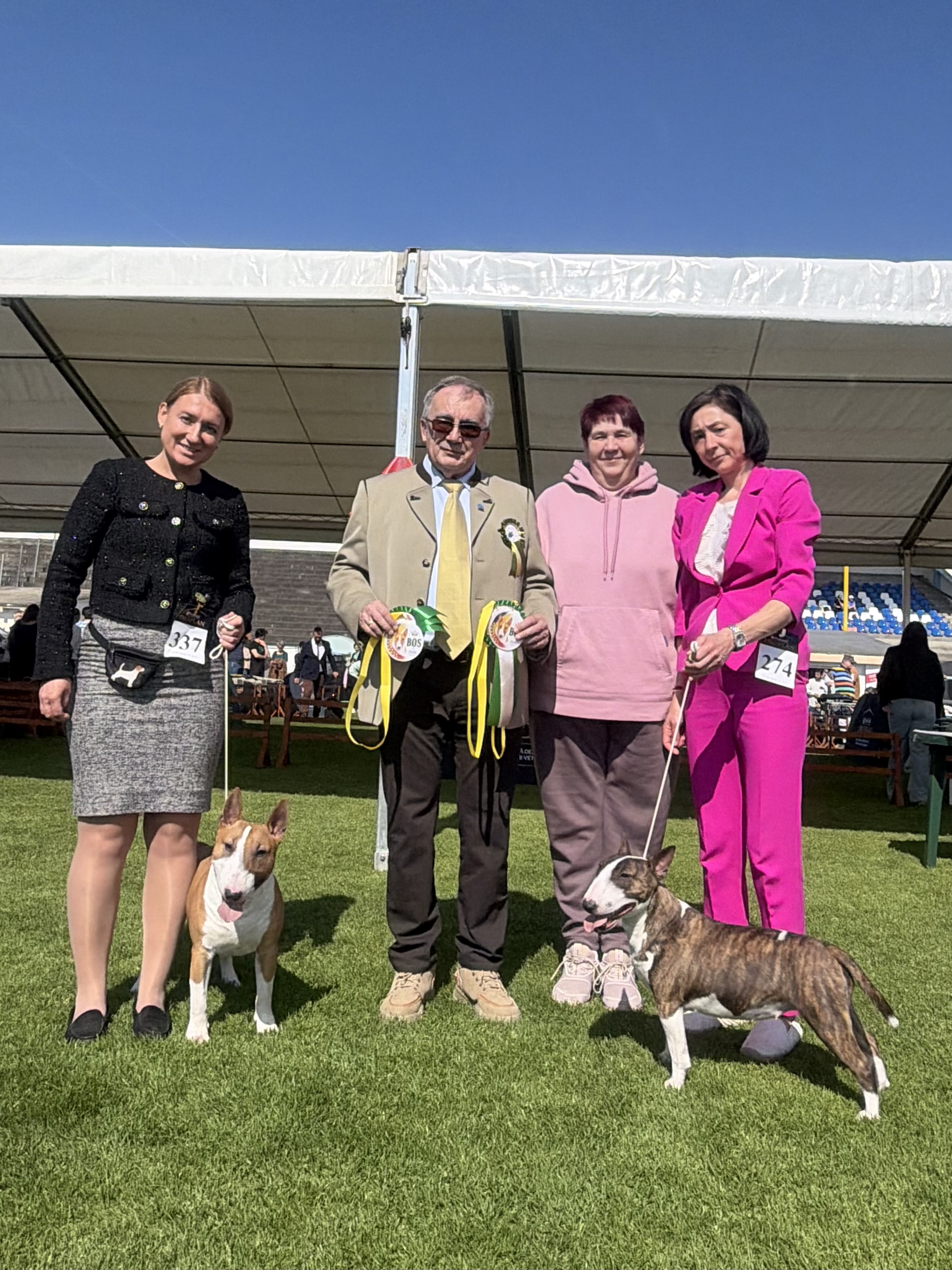 🏆 C.A.C.I.B. Satu Mare Dog Show 2026 🇷🇴