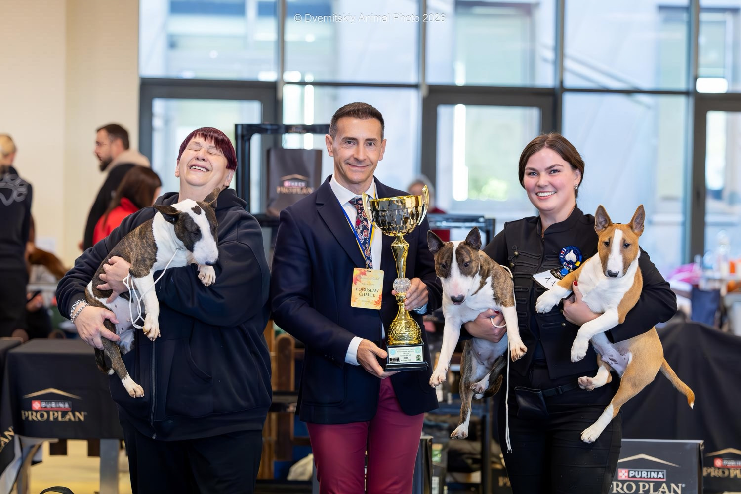 SPECIALTY SHOW — BULL TERRIERS