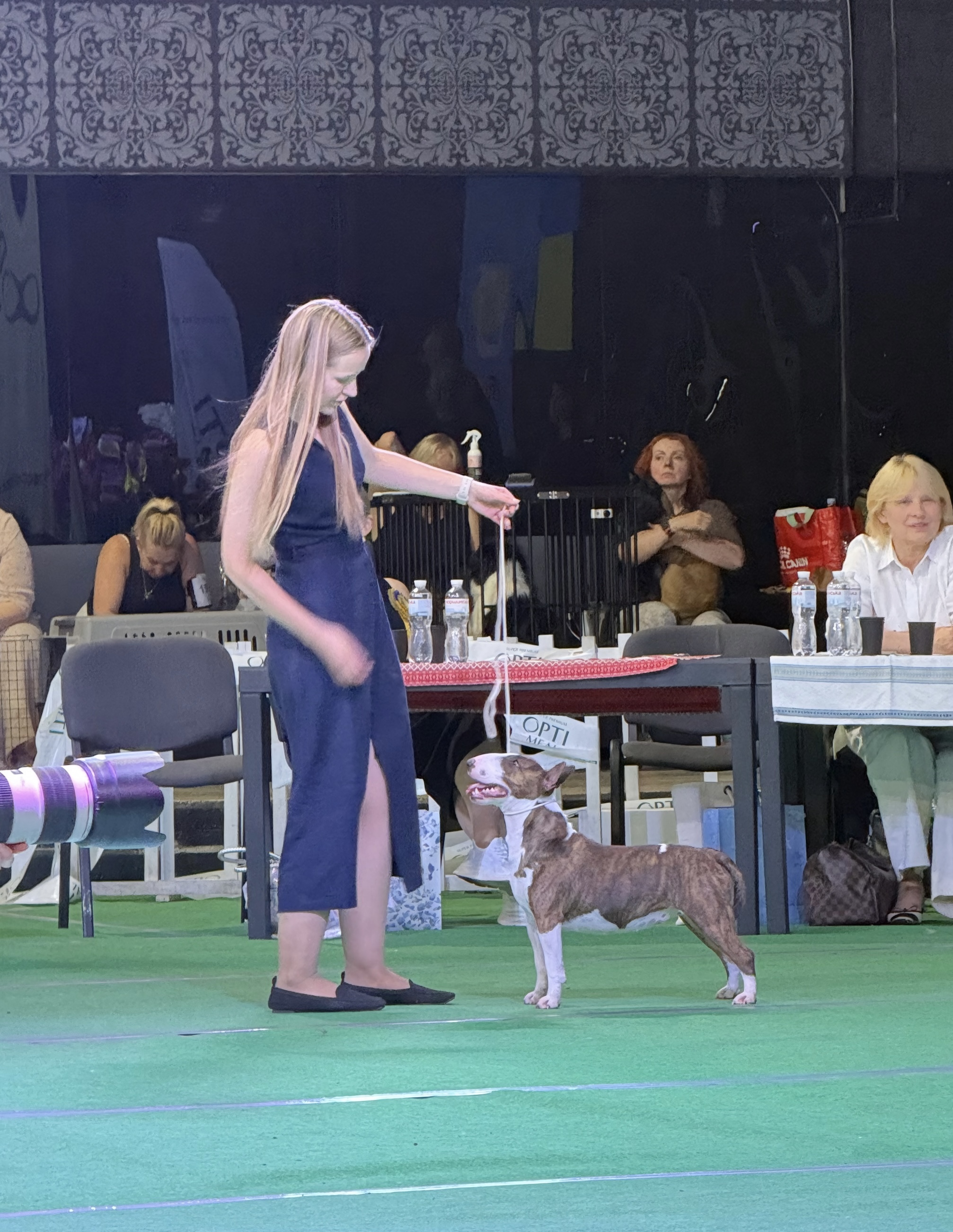KYIV MEETINGS • ETALON CUP