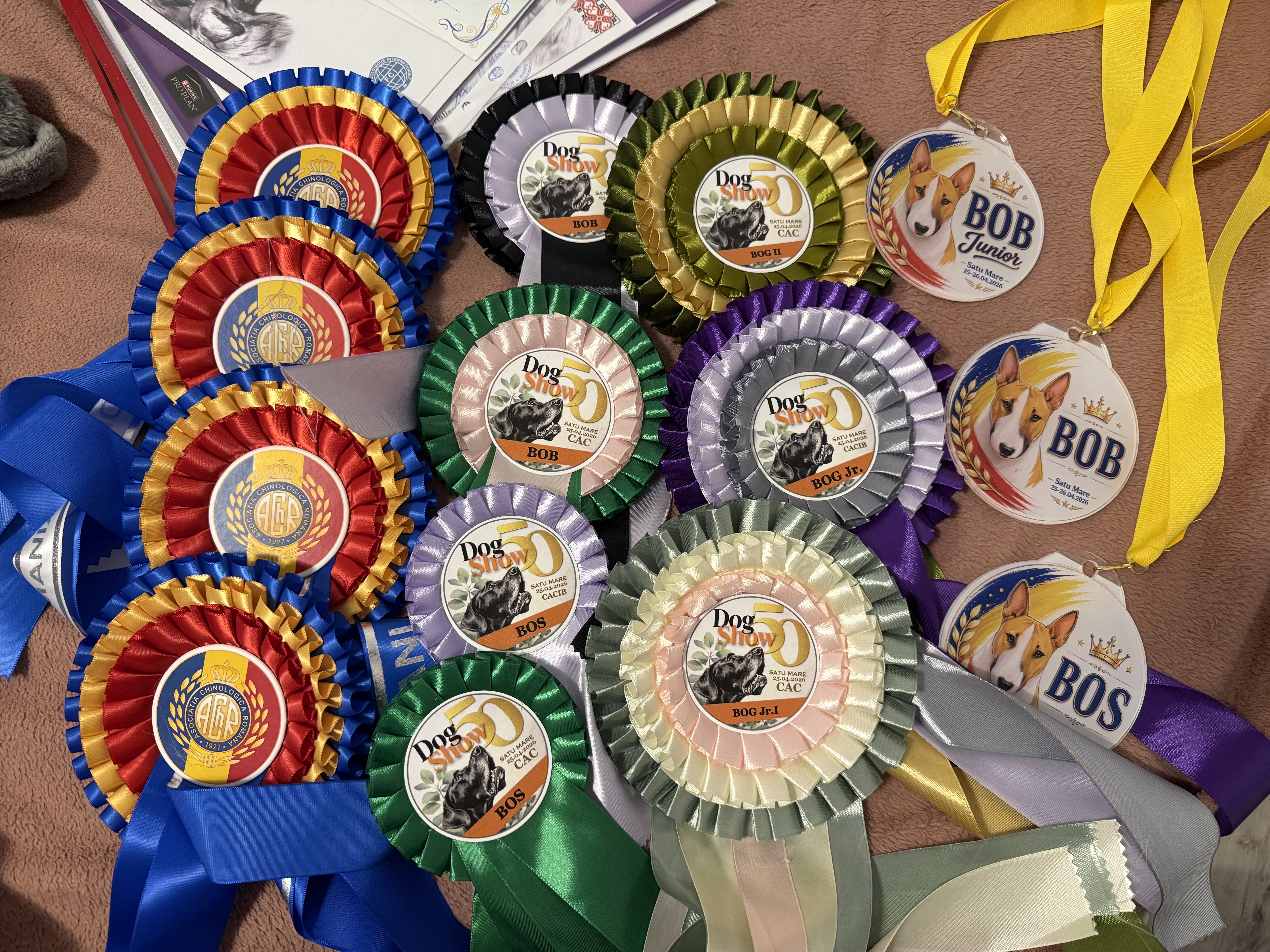 🏆 C.A.C. Satu Mare Dog Show 2026 🇷🇴