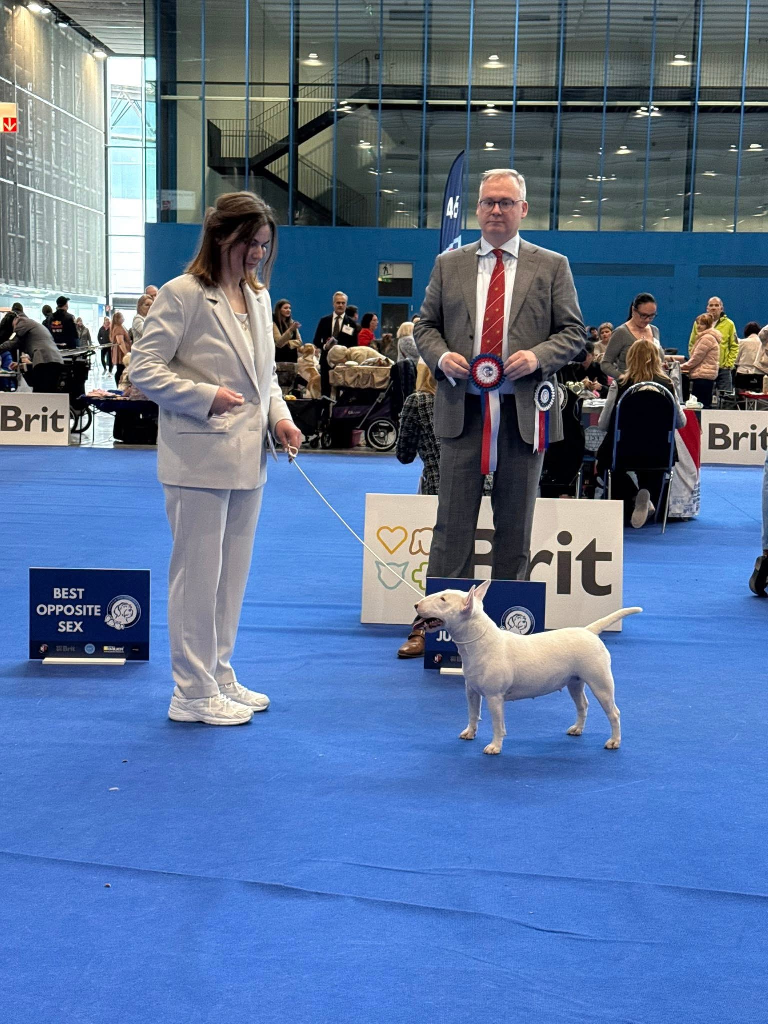 EUROPEAN DOG SHOW 2025