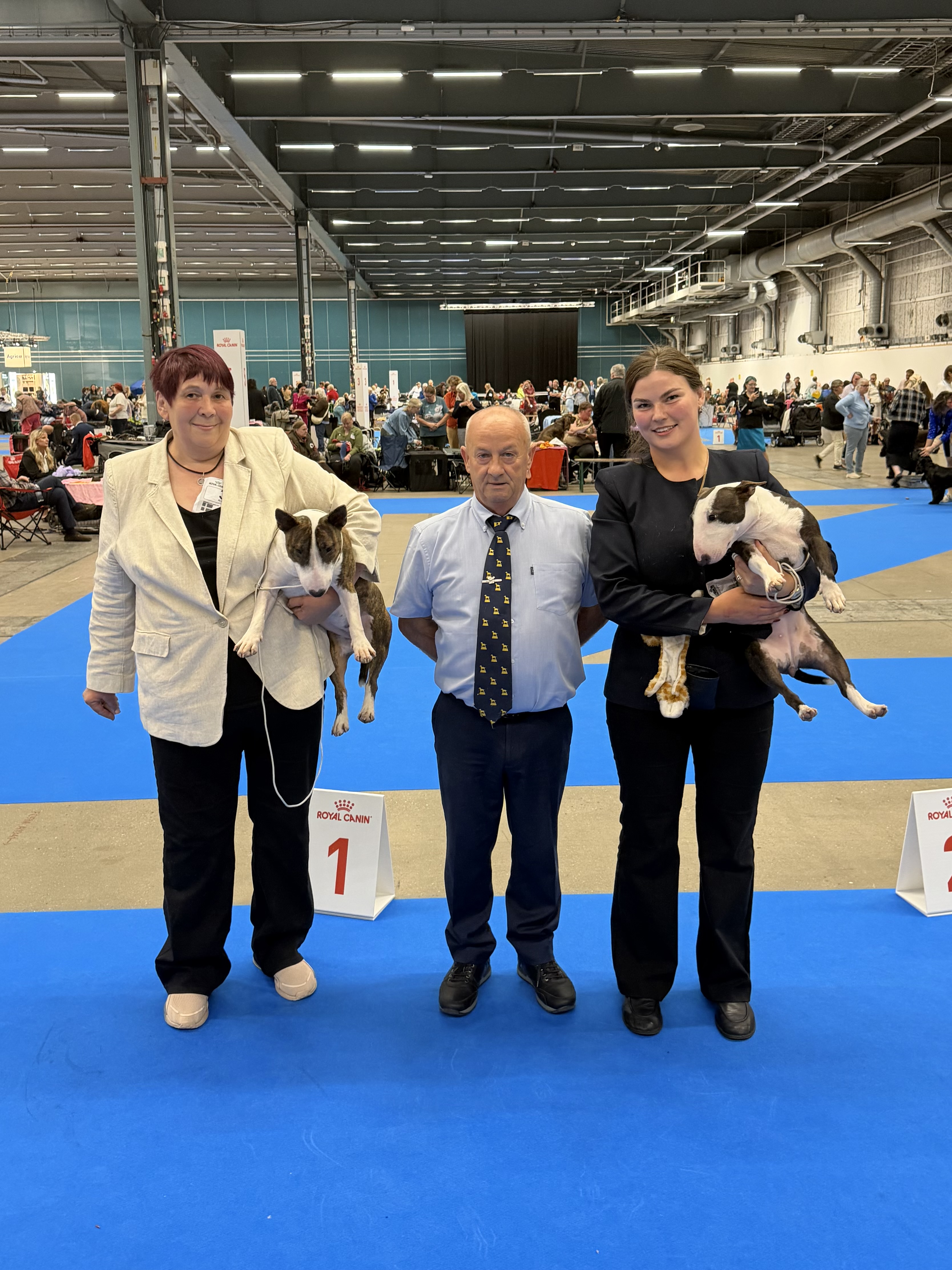 European Dog Show 2026