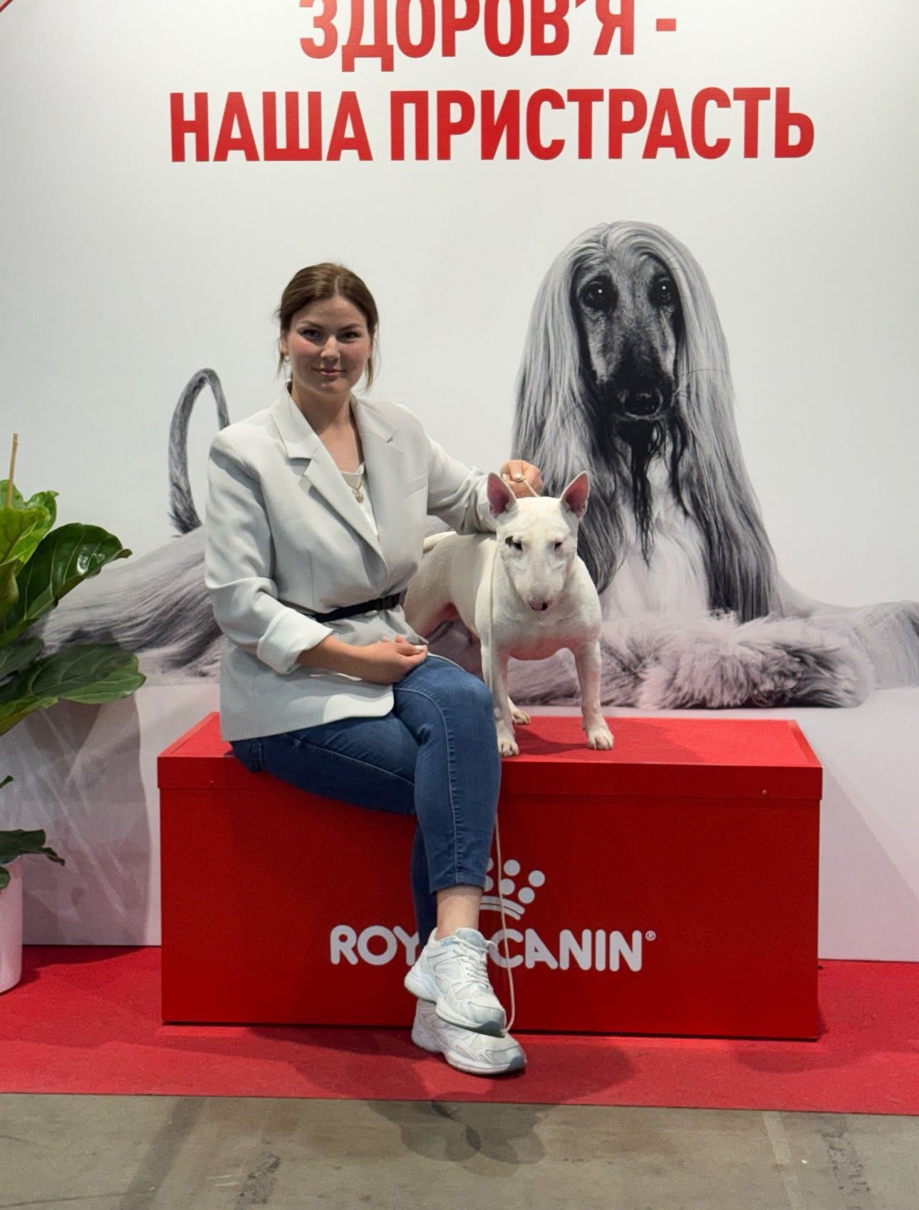 International Dog Show "GOLDEN GATES - 2025" (FCI-CACIB) - "UKRAINE - 2025"