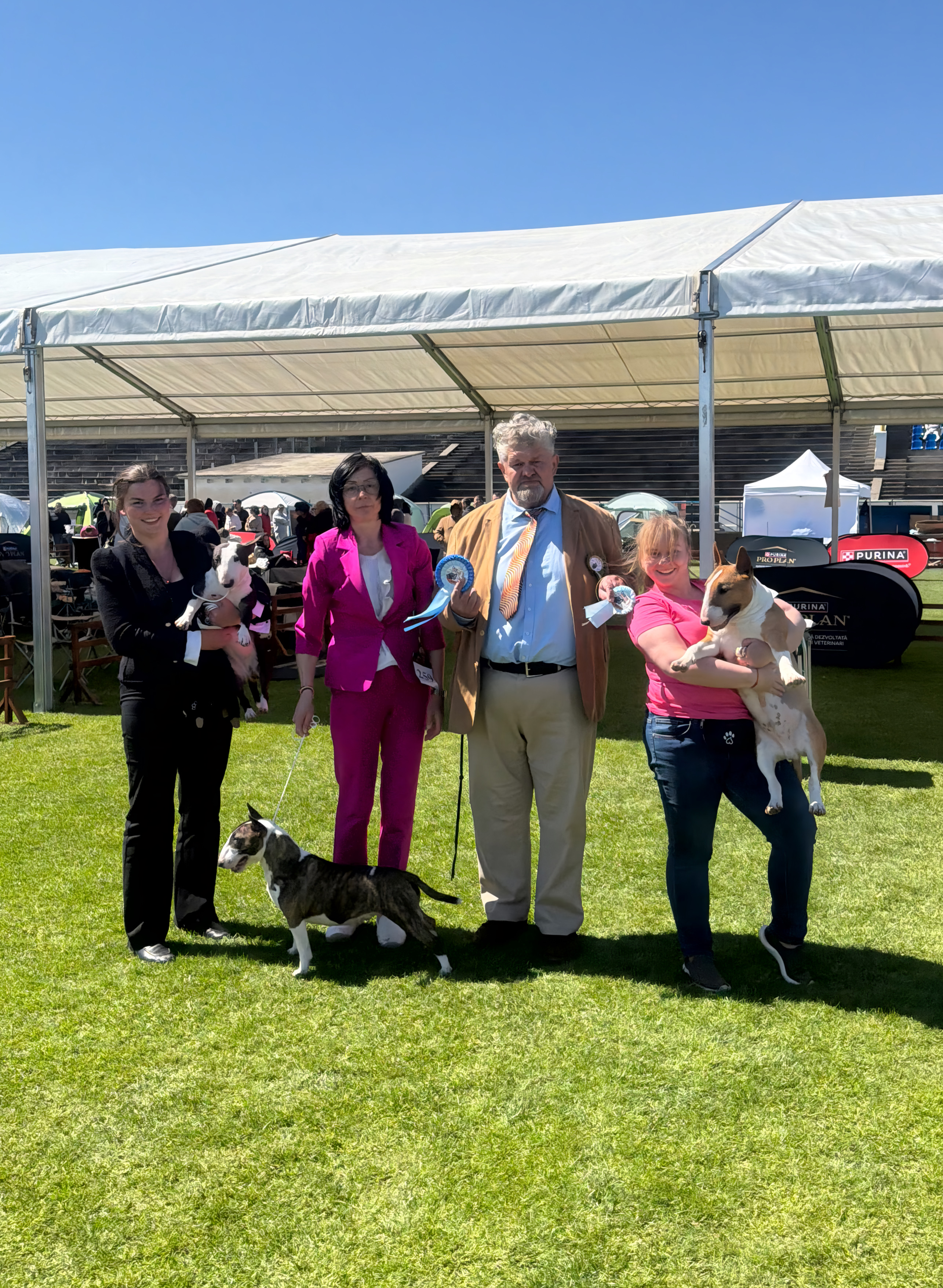 🏆 C.A.C.I.B. Satu Mare | 26.04.2026 🇷🇴